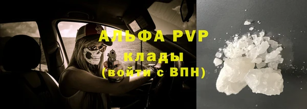 тгк Касимов