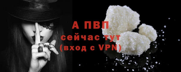 ECSTASY Каменногорск