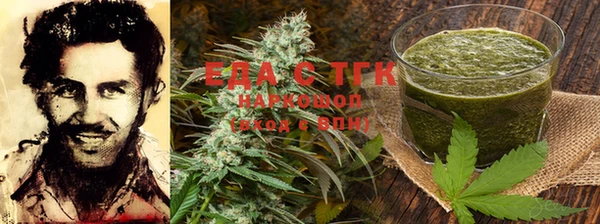 тгк Касимов