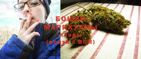 хмурый Карпинск
