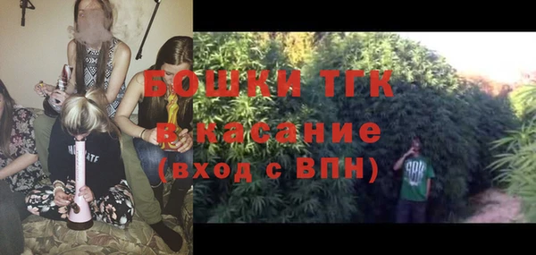 тгк Касимов
