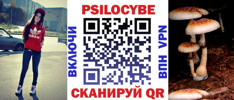 сайты даркнета как зайти  Карачев  Псилоцибиновые грибы Psilocybe 